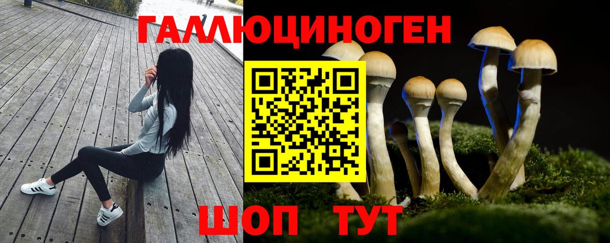 Псилоцибиновые грибы Psilocybine cubensis  Вход с VPN  купить   Кызыл 